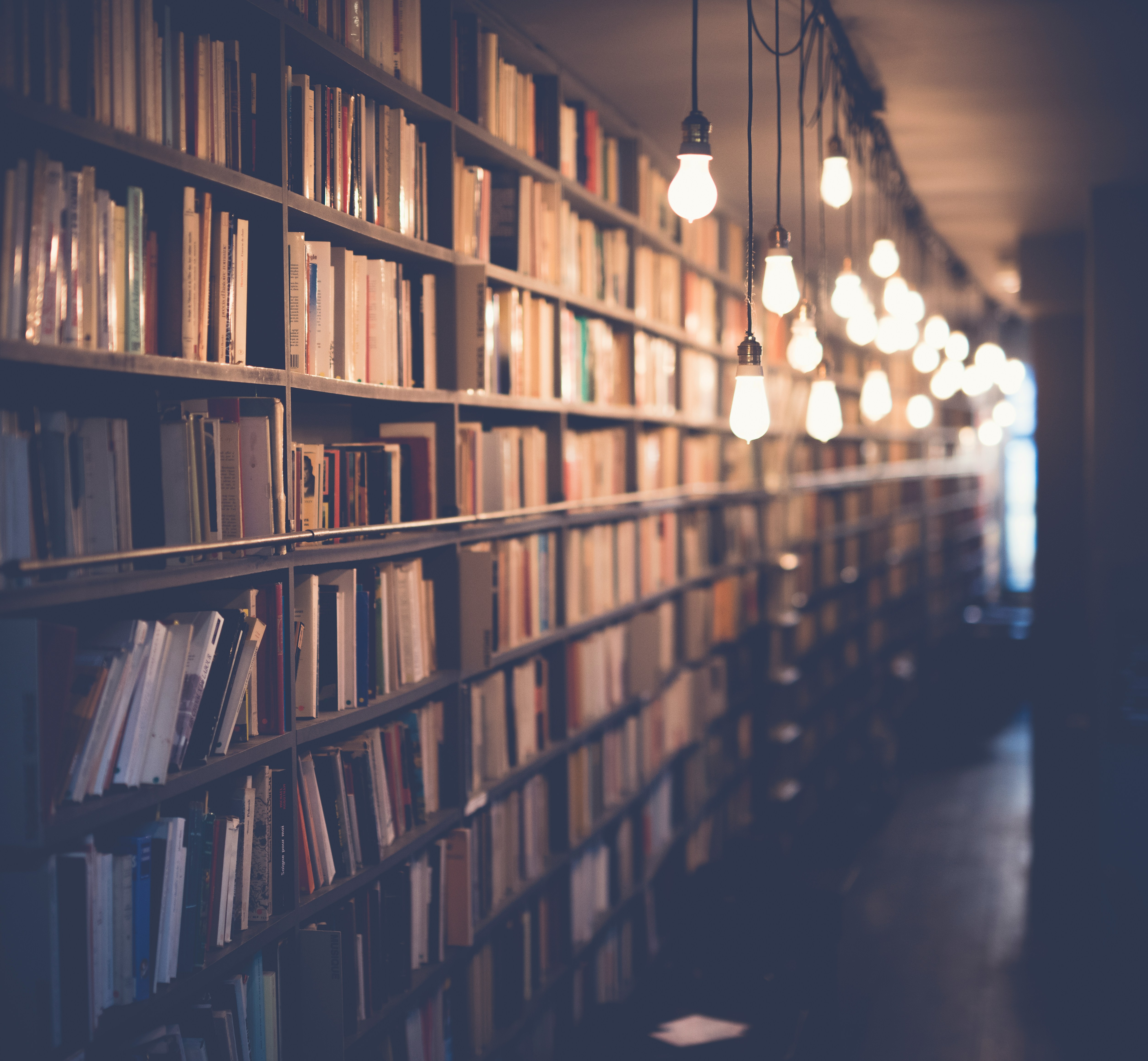 Banner image showing a library with book cases illuminated by many lightbulbs