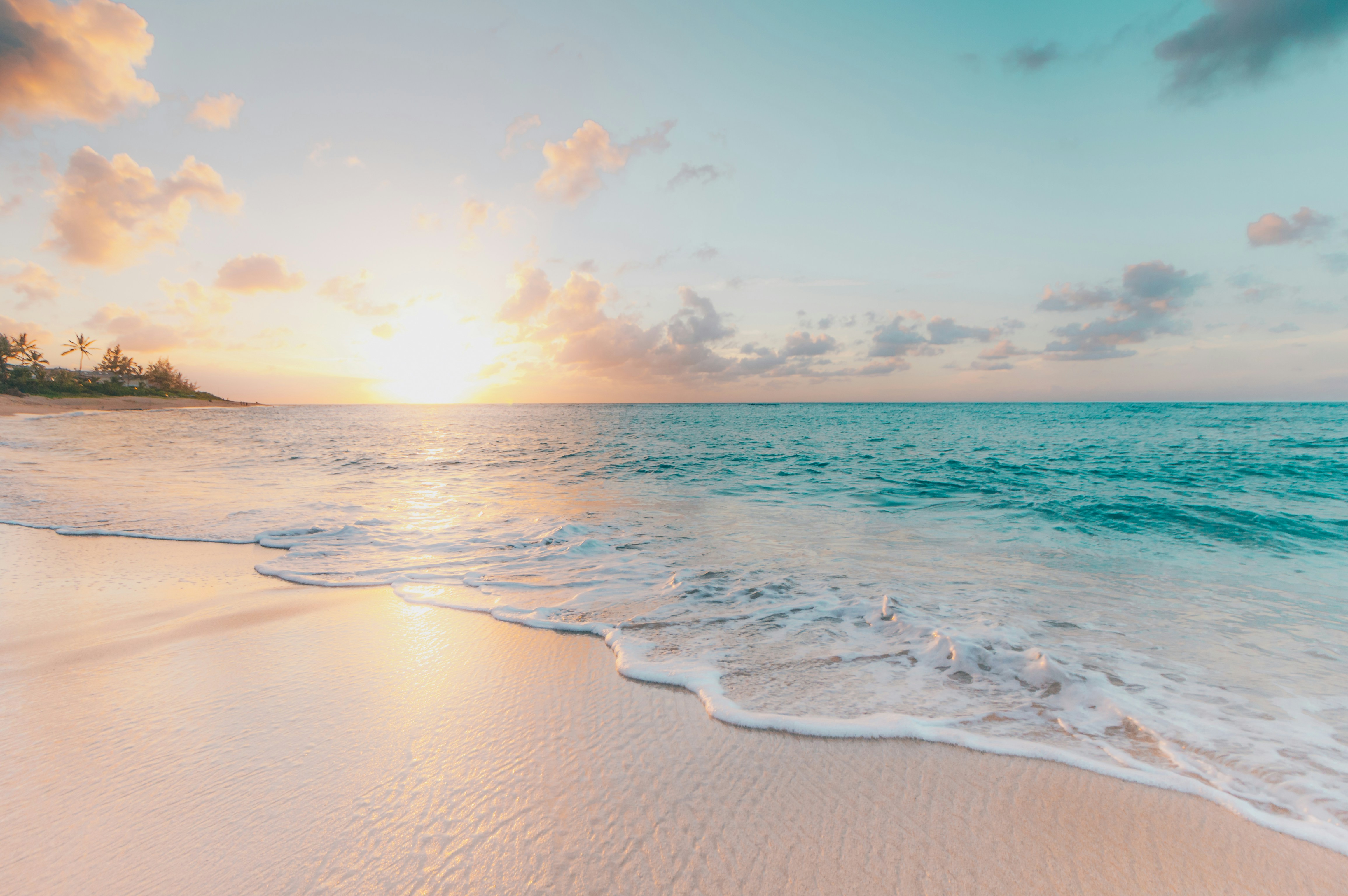 Banner image showing a beach and the ocean